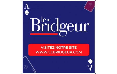 Bridge eShop
